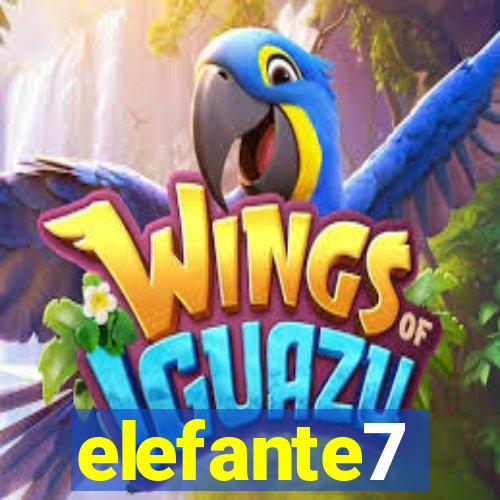 elefante7