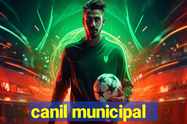 canil municipal