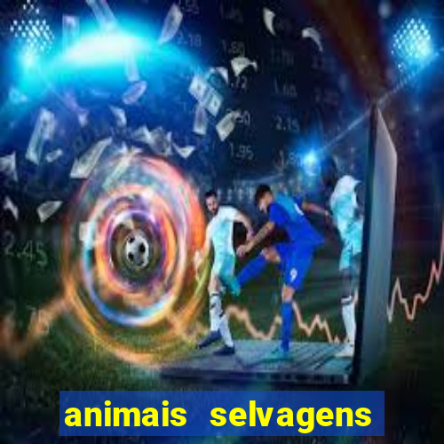 animais selvagens fotos e nomes