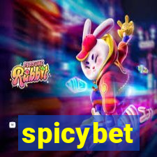 spicybet-2.com