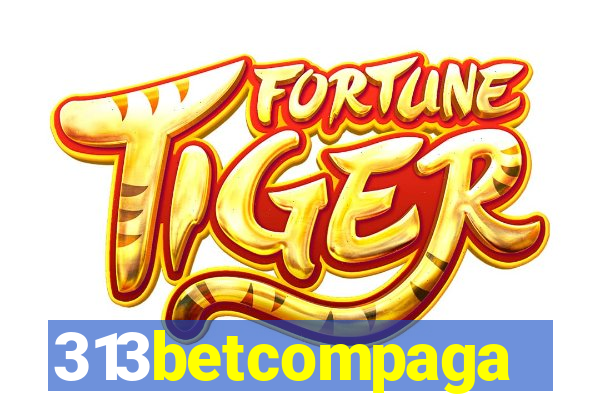 313betcompaga