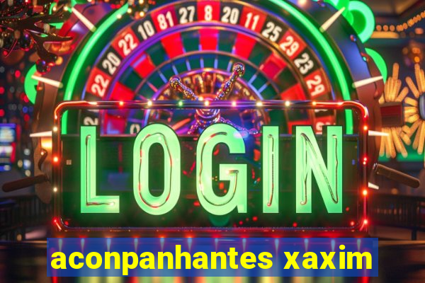 aconpanhantes xaxim